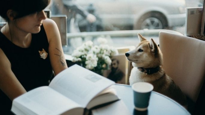 Los perros saben lo que dices: Esto es lo que sucede en su cerebro cuando le hablas