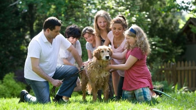 Mejora la comunicación en tu familia: Sigue estos consejos para tener una mejor convivencia