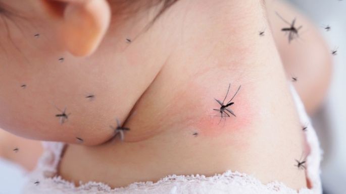 ¡Cuida a los más pequeños del hogar! Así puedes evitar que los mosquitos ataquen a tu bebé