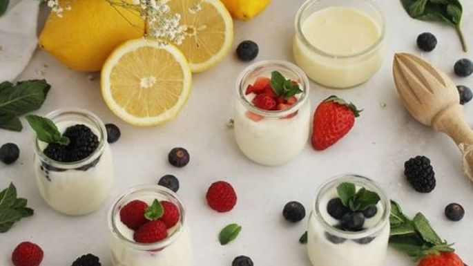 Un postre delicioso y sano: Estos hielitos de yogur y frutos rojos serán ideales para el calor