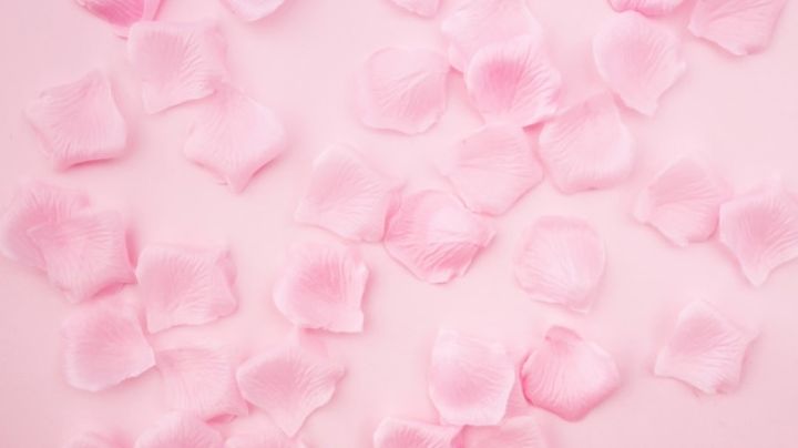 Petalos de rosa: Conoce más de sus propiedades y beneficios para el cuidado de la piel