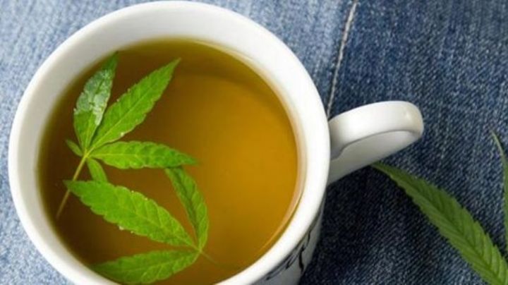 ¿Té de marihuana? Conoce los beneficios que se le atribuyen a esta bebida