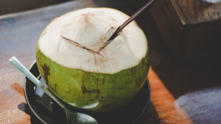 ¿Ya las conoces? Estas son las propiedades del agua del coco que te harán amarla