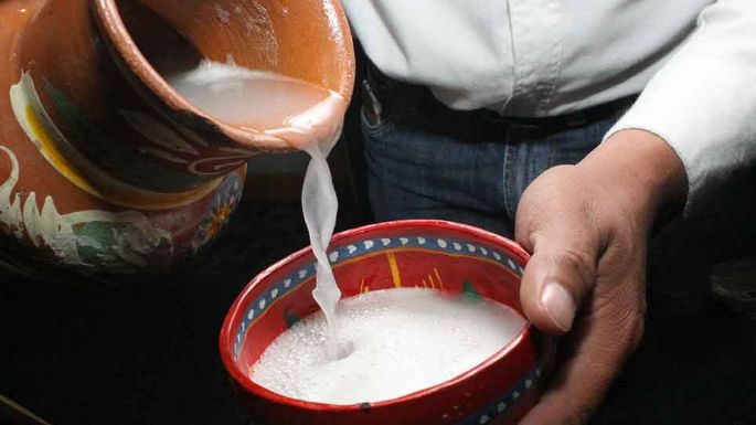 Una razón más para probar el pulque: Encuentran un probiótico anticancerígeno en esta bebida