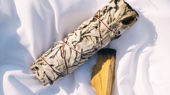 Palo santo: conoce la magia que se esconde detrás de esta especie usada para tranqulizar