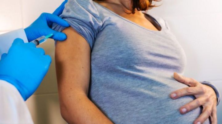 Estudiarán los efectos de la vacuna anti-Covid Moderna en mujeres embarazadas