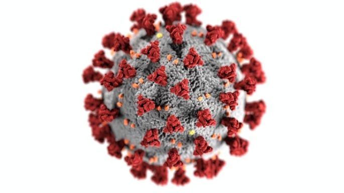 Covid- 19: Conoce la manera en la que se nombran las diferentes variantes de este virus