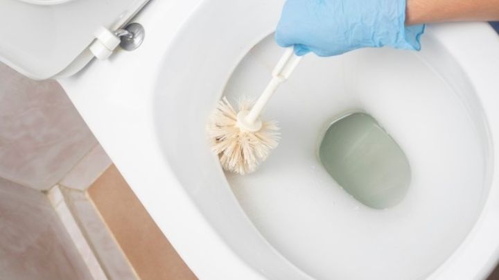 Protege a tu familia y evitar estos errores al lavar el inodoro