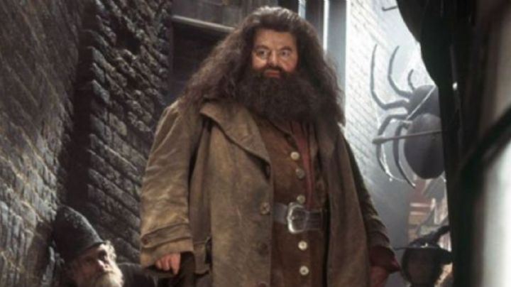 No solo fue Harry Potter: Peliculas de Robbie Coltrane que te dejarán con la boca abierta