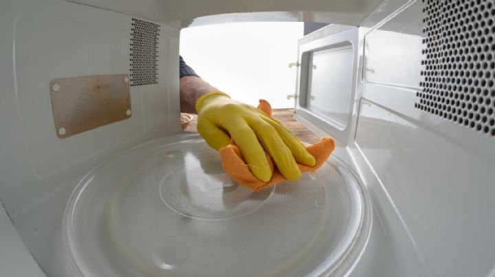 Ahuyenta las cucarachas de tu cocina con este remedio para limpiar tu microondas