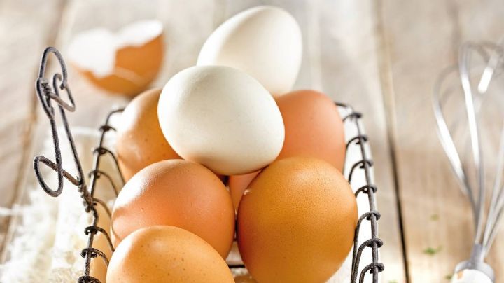 No, los huevos no se guardan en el refrigerador; descubre el porqué
