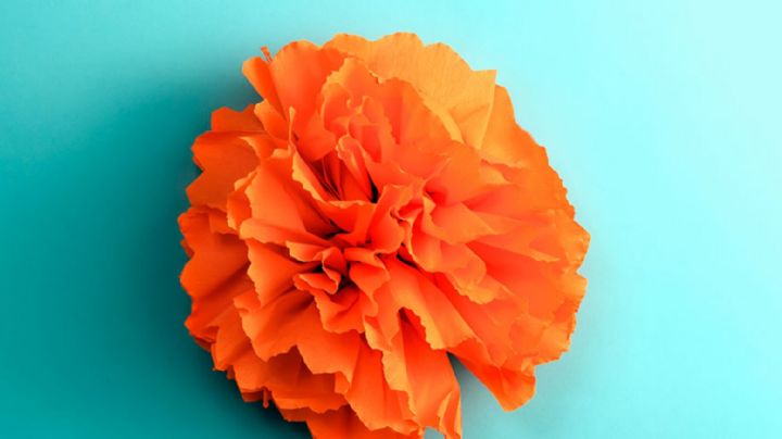 Día de Muertos: Paso a paso para hacer flores de cempasúchil fáciles con papel