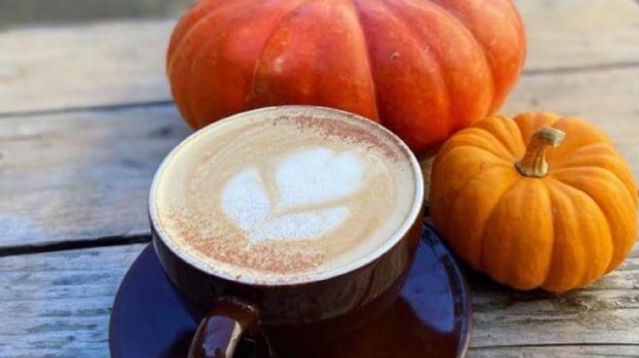 Pumpkin Seasson: Disfruta de este rico café con calabaza para el otoño