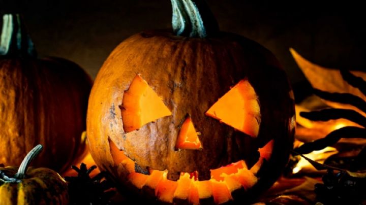 Evita desperdicios: Maneras fáciles para aprovechar las calabazas después de Halloween