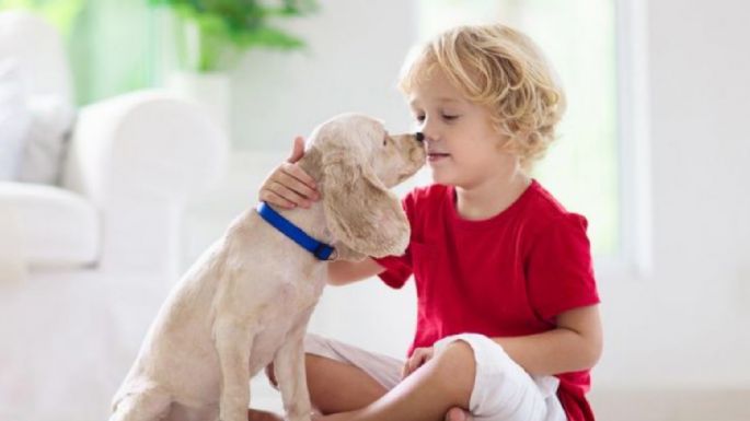 La clave para tener hijos responsables es adoptar una mascota; conoce por qué