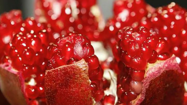 Comer granada cuida de tu salud; conoce cuáles son los beneficios de este fruto
