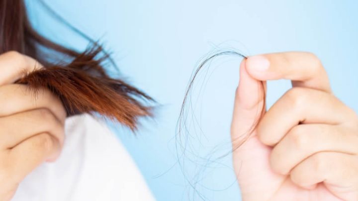 ¿Se te cae por montones? Aceites que detienen la caída del cabello