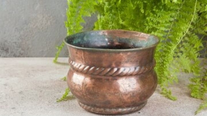 No permitas que el cobre pierda brillo; ingredientes con los que puedes limpiarlo