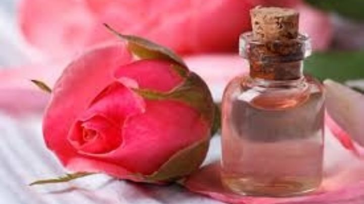 No los desaproveches: Estos son los beneficios del agua de rosas para el cabello y piel