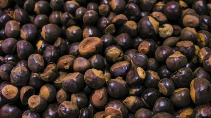 No te quedes sin probarlas: Estos son los beneficios de las semillas del guaraná