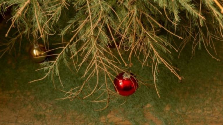 Cómo quitar las esferas del árbol de Navidad 