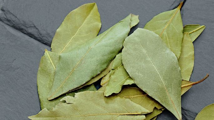 Elimina los malos olores de tu ropa al lavarlas con ayuda de este remedio de laurel