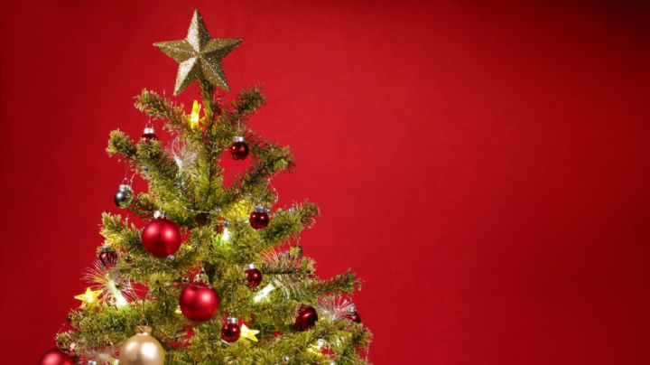 Olor a Navidad: Aprende cómo hacer este increíble aromatizante para diciembre