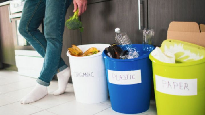 Tips para que evites que tu bote de basura se infeste de gusanos y mantén la higiene