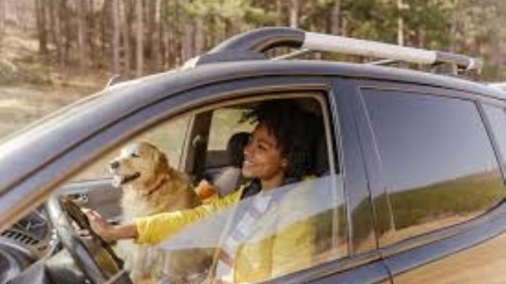 Ponle un alto al mal olor en el auto; elimínalo en pocos minutos con estos consejos