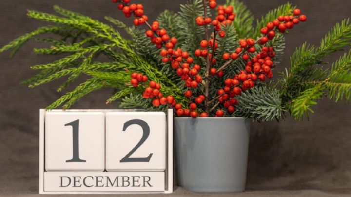 Portal del 12 de diciembre: Cómo aprovechar el  poderoso momento energético del 12:12