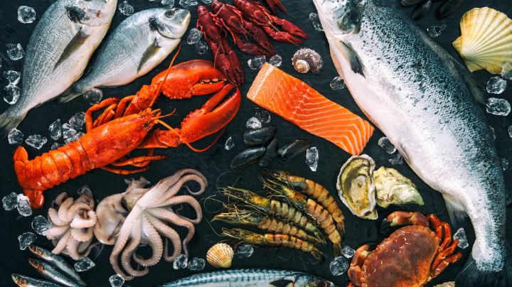 Inclúyelos en tu plato: Conoce todos los beneficios que aporta comer mariscos