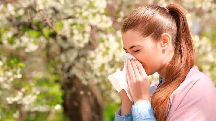 ¿Sufres alergia al polen? Te compartimos algunos consejos para hacerle frente