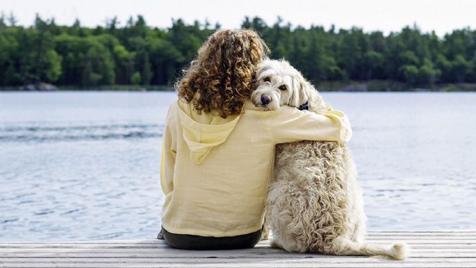 ¿Cómo lidiar con el duelo de una mascota? 6 consejos que te ayudarán