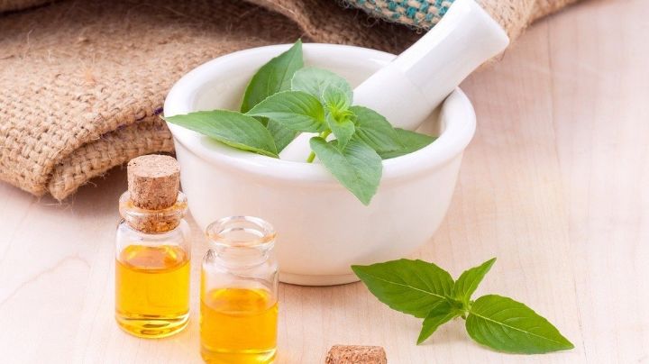 Los 5 beneficios del aceite esencial de pachulí; no te los pierdas