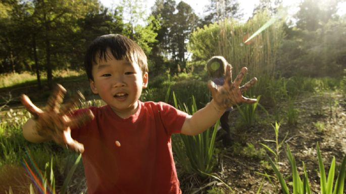 Sensibilizar al niño a la naturaleza; te contamos cómo acercarlo a su entorno