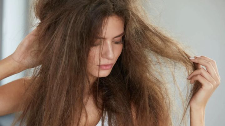 ¿Cabello desordenado? Prepara crema de romero y linaza; el equipo que hace maravillas