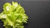 ¿Insomnio? Comer lechuga puede ayudarte a conciliar el sueño