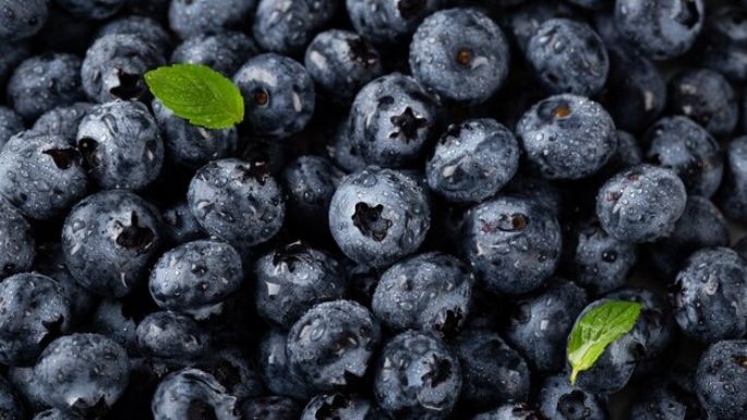 Comer arándanos azules puede beneficiar a la memoria y a la salud del corazón