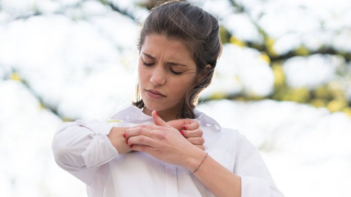 Aleja a los mosquitos con repelente casero; sólo necesitas 2 ingredientes