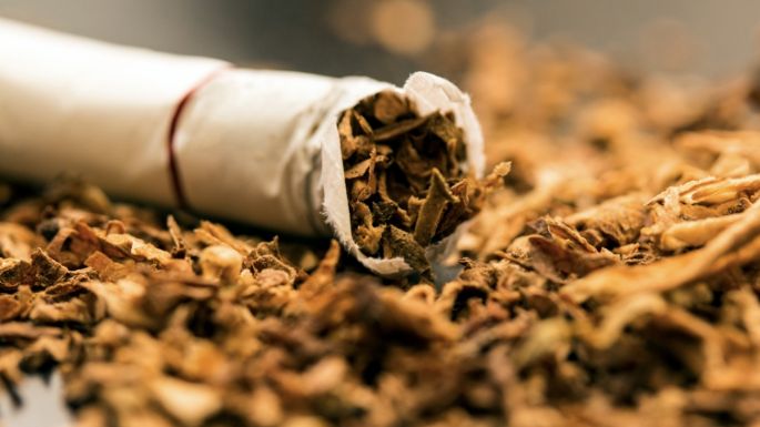 ¿Cómo afecta la exposición al humo del tabaco al desarrollo neuronal de los niños?