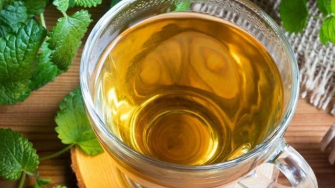 Múltiples beneficios: Conoce en qué ayuda beber té de toronjil