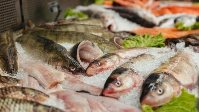 5 tipos de pescado económicos para cuidar tu dinero en Cuaresma