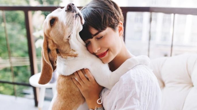 Sigue estos consejos que te ayudarán reforzar la relación que tienes con tu perro