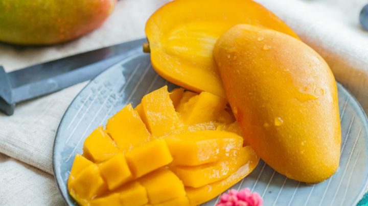 ¿Cómo germinar una semilla de mango?
