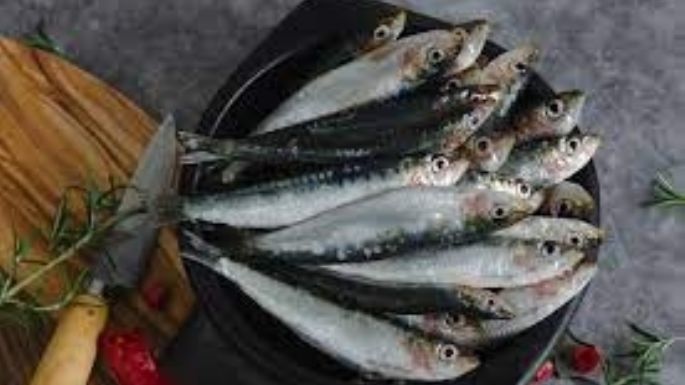 Beneficios de aprovechar las sardinas durante la Cuaresma