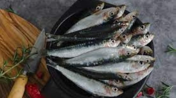 Beneficios de aprovechar las sardinas durante la Cuaresma