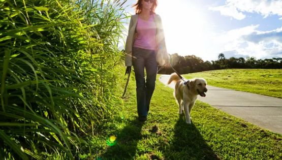 Las mascotas importan: Pasear a tu perro aumenta la posibilidad de encontrar pareja