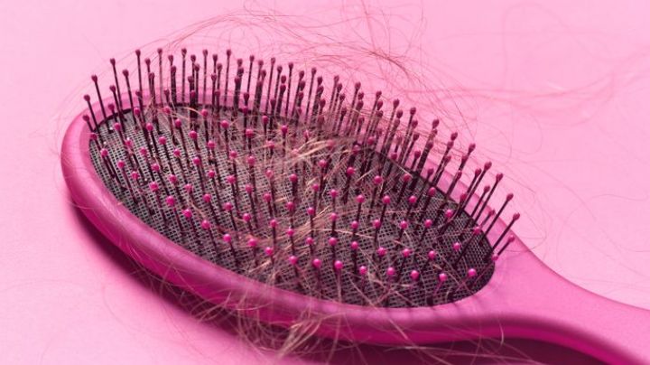 Amarás este tónico casero de ortiga; detiene la caída del cabello