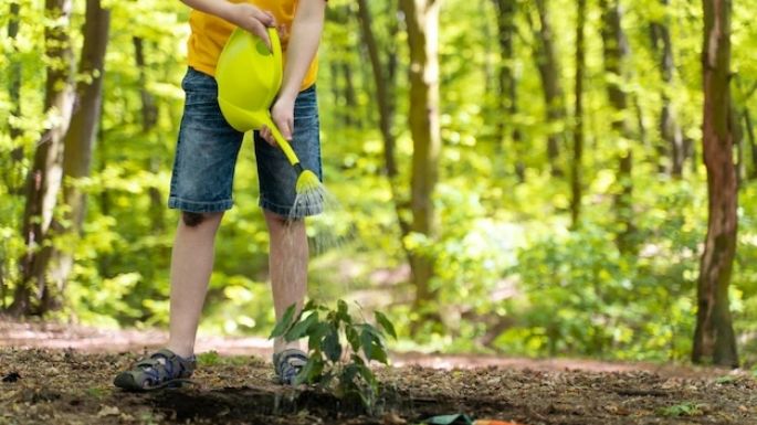 Día de la Tierra: Tips para enseñar a tus niños hábitos sostenibles