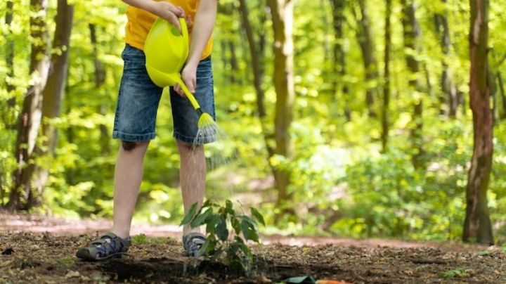 Día de la Tierra: Tips para enseñar a tus niños hábitos sostenibles